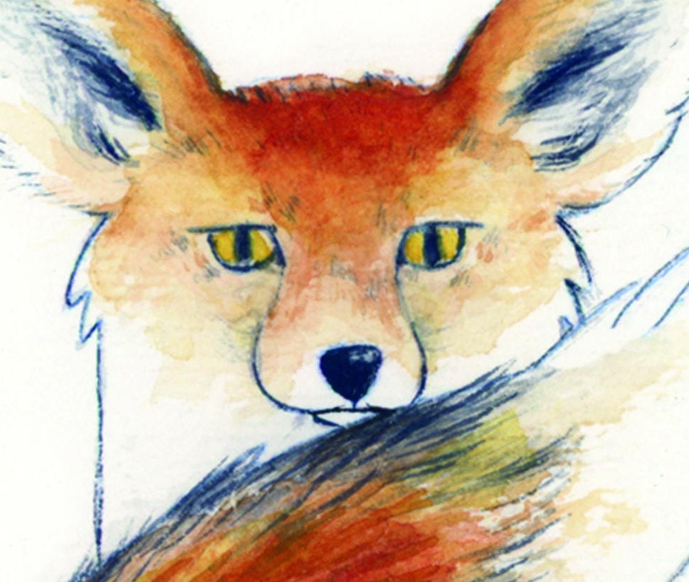 Fox Note Cards - Set of ten cards, greeting cards, cards with envelopes included, animal card set, folded blank notecards, fox cards, fox design