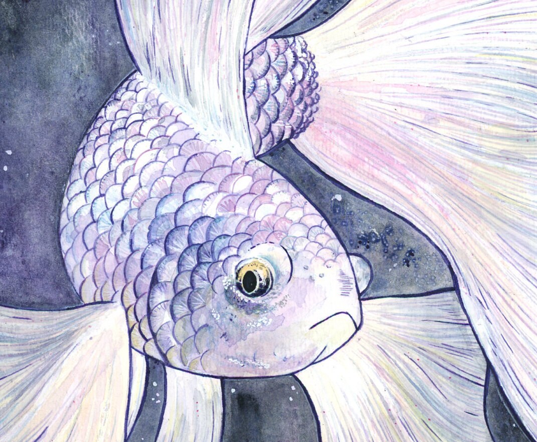 FISH Note Cards - Set of ten, greeting card set, envelopes included, holiday cards, folded blank cards, notecard set, fish cards